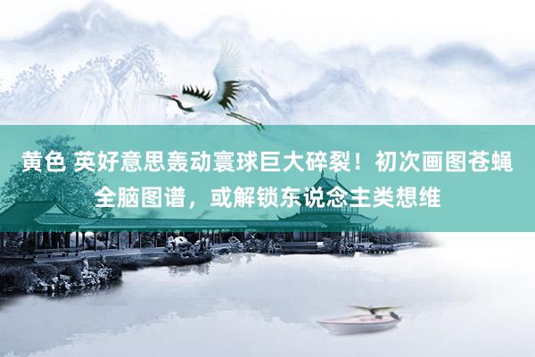 黄色 英好意思轰动寰球巨大碎裂！初次画图苍蝇全脑图谱，或解锁东说念主类想维