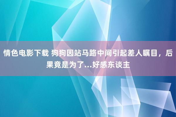 情色电影下载 狗狗因站马路中间引起差人瞩目，后果竟是为了...好感东谈主