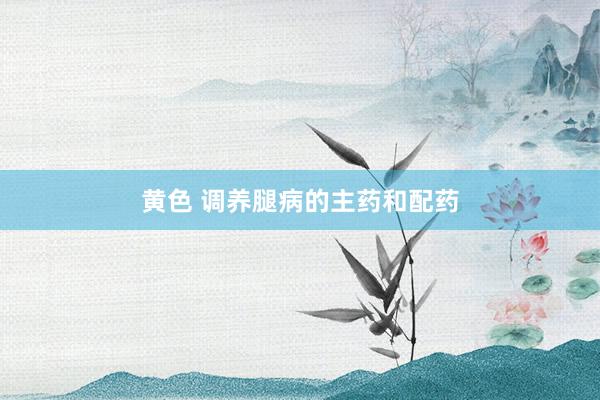 黄色 调养腿病的主药和配药