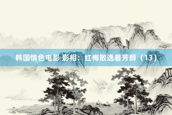韩国情色电影 影相：红梅散逸着芳醇（13）